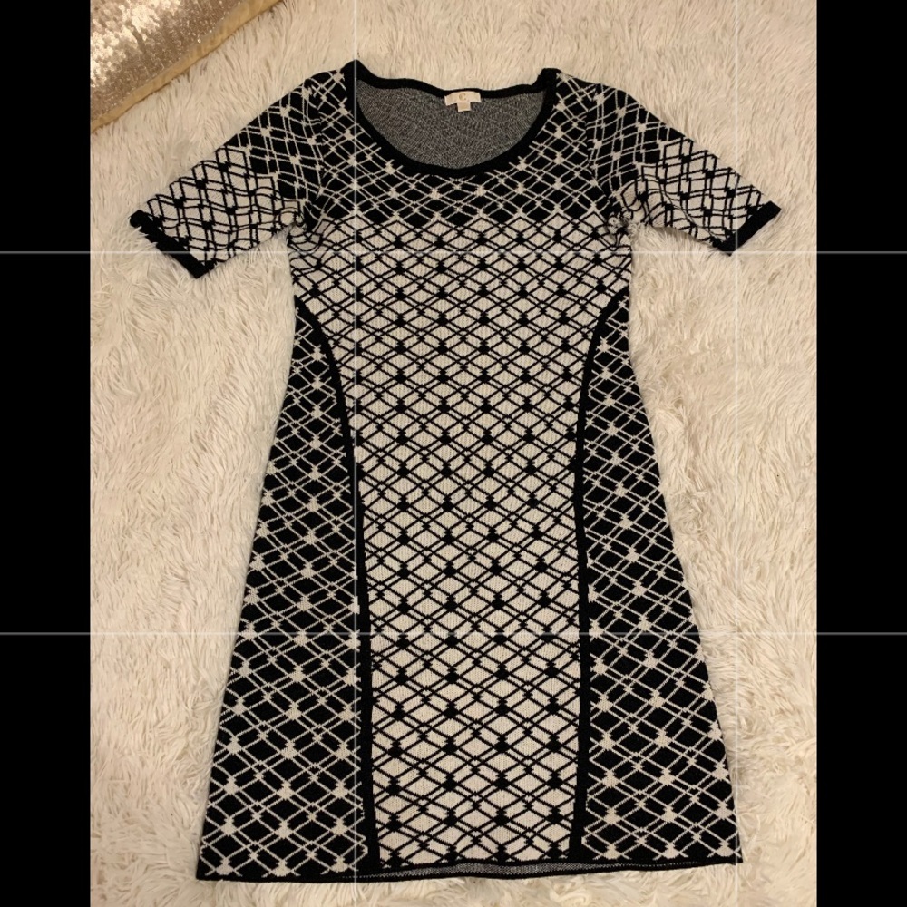 Charming Charlie Sweater Dress